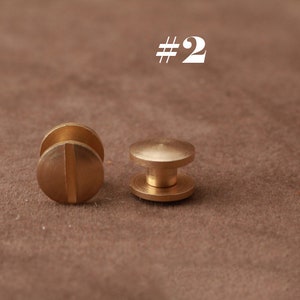 May include: Two brass screw-on fasteners, one with a flat head and the other with a round head. #2