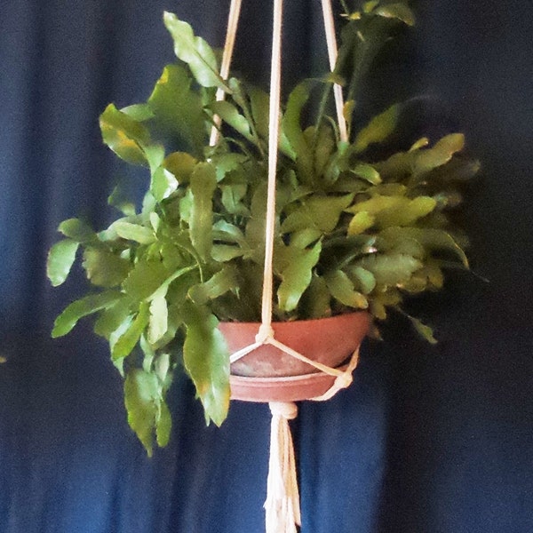 Heavy Duty Plant Hangers Etsy