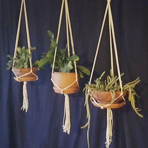 Premier Custom-Made Plant Hangers, Top-Quality Cording, Thick Bronze Rings, Strong & Sturdy Design That Will Last for Years!