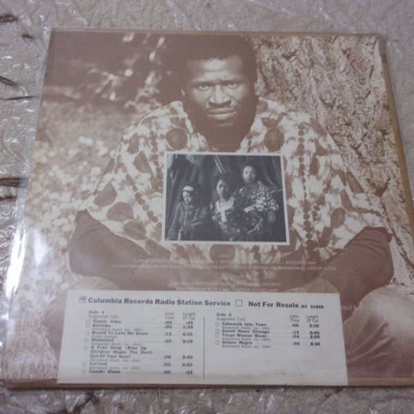 Recycling the Blues.....    Taj Mahal    LP    1972     fast shipping     Promo