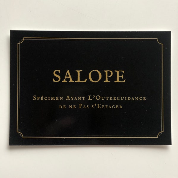 Carte postale Acrostiche du mot Salope