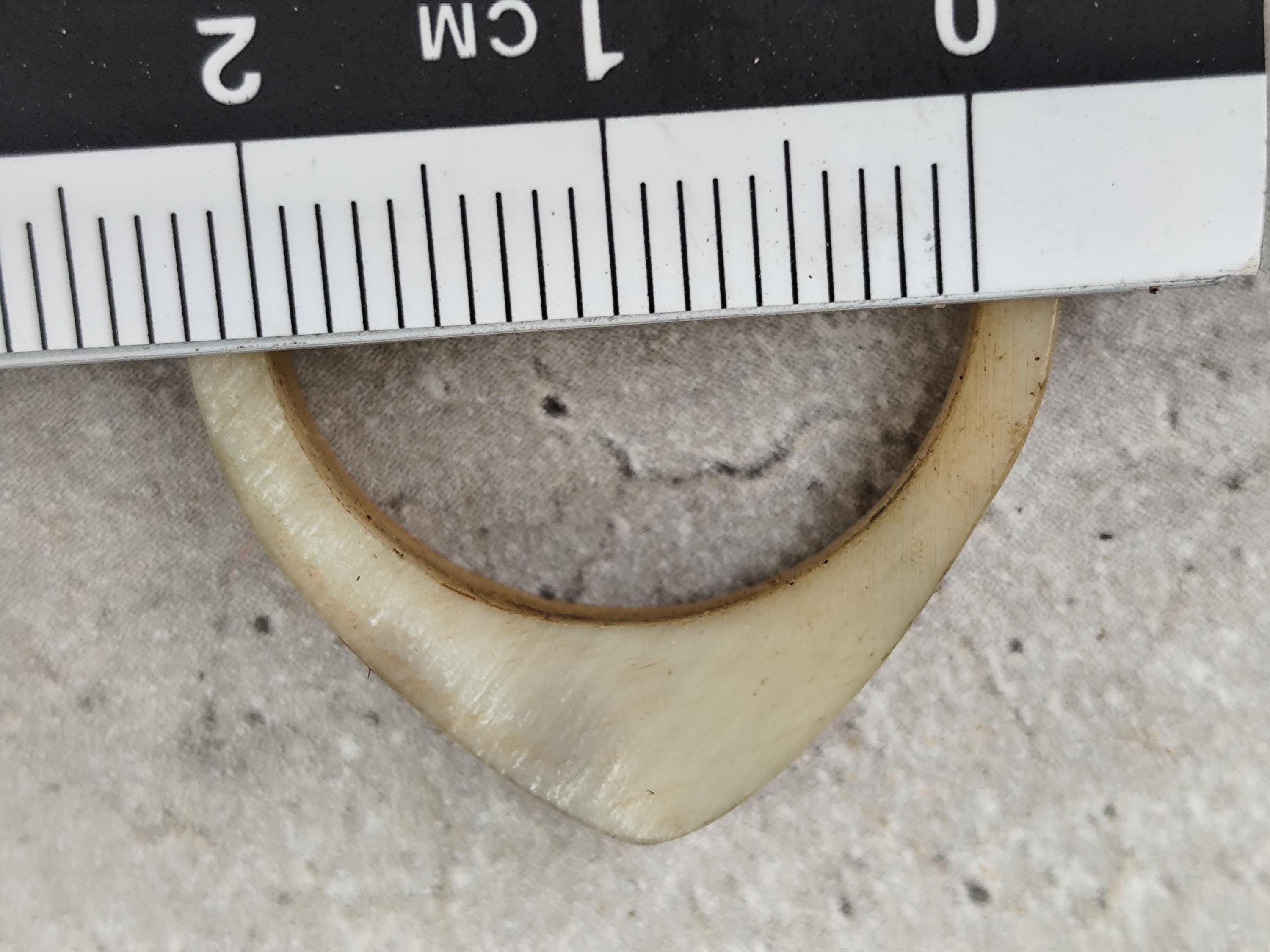 Bone Ring - Etsy
