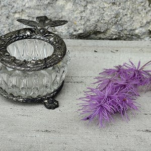 Può includere: Un contenitore trasparente in vetro tagliato con un bordo decorativo in metallo argentato e una maniglia a forma di uccello. Il contenitore poggia su tre piedini ad artiglio. Un rametto di fiori viola è appoggiato vicino.