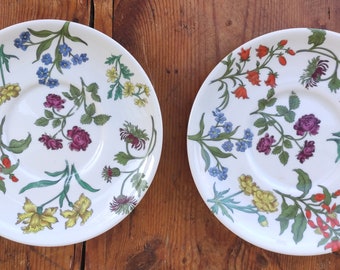 Set of 2 Paris porcelain plates with herbarium decor