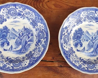 Rare set de 2 assiettes creuses Villeroy et Boch Burgenland