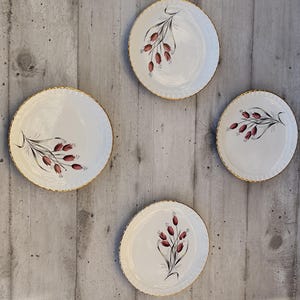set of 4 old Gien dessert plates
