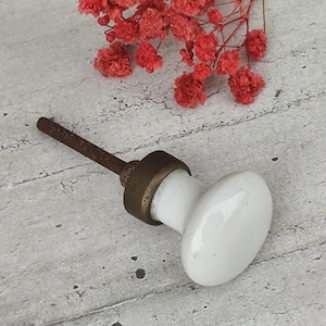 Könnte beinhalten: Weißer Keramik-Schrankknopf mit Messingbasis und einer Schraube aus Metall. Der Knopf ist oval geformt und hat eine glatte Oberfläche.