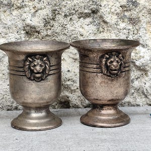 Set of 2 lion head flower pots