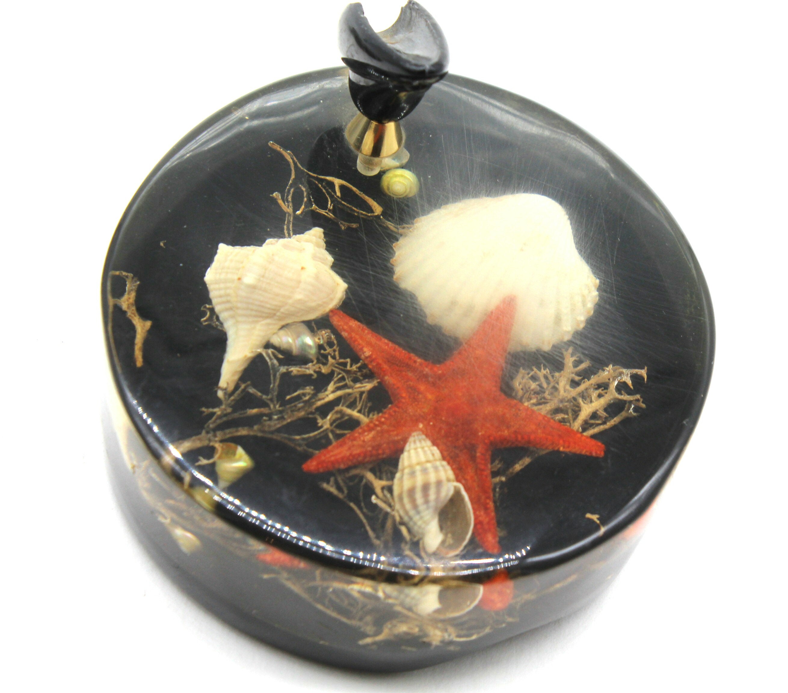 Porte Stylos en Lucite Vintage avec Inclusion de Coquillages