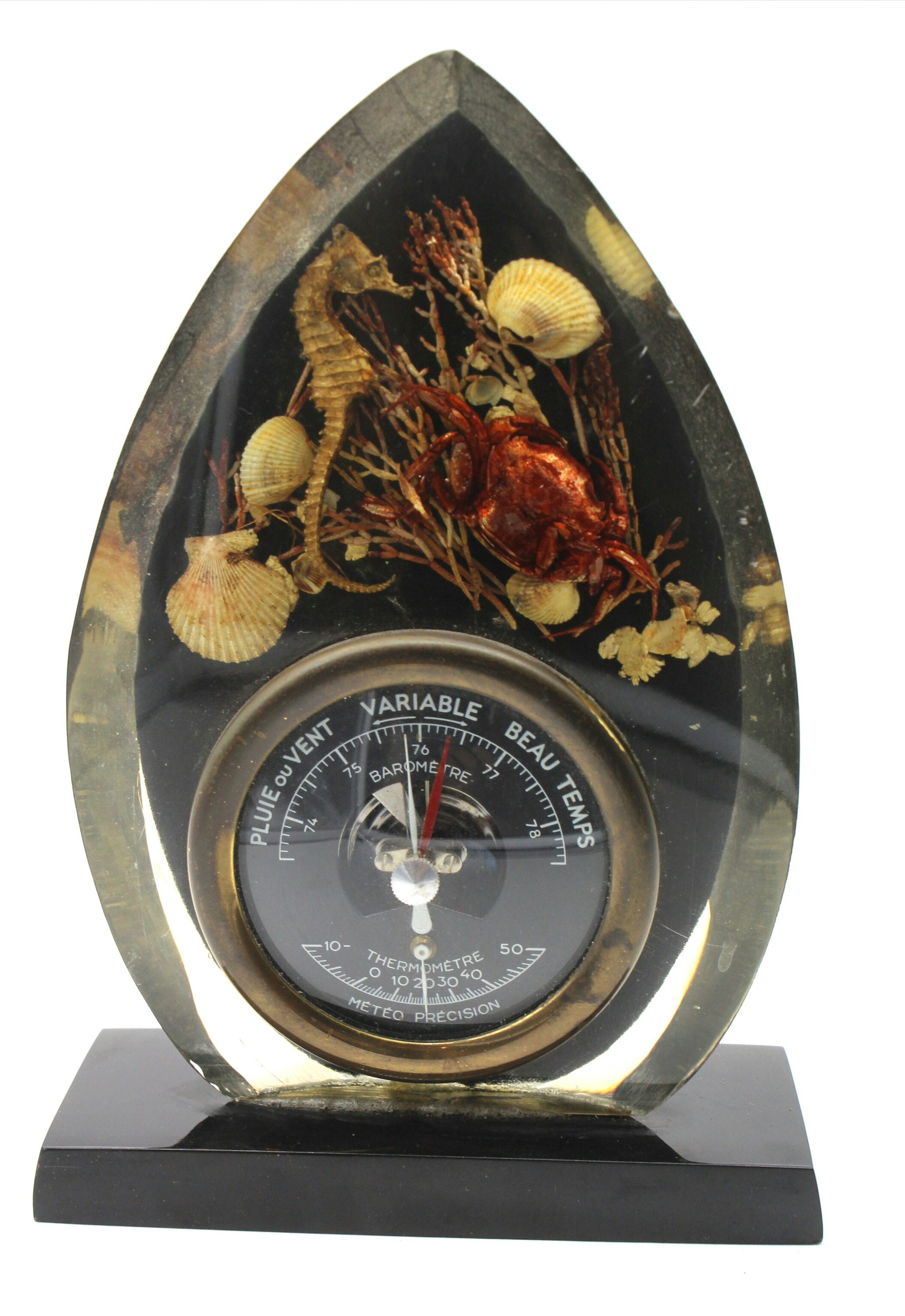 Thermomètre avec Inclusion de Coquillages