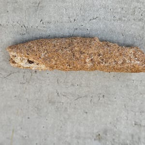 May include: A light brown, oblong object with a textured, porous surface. The object appears to be made of a dried, organic material, possibly a piece of food or natural item. The color is a mix of light and dark browns.