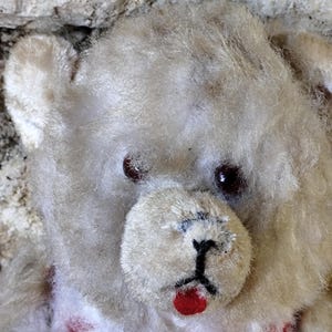 vintage teddy bear