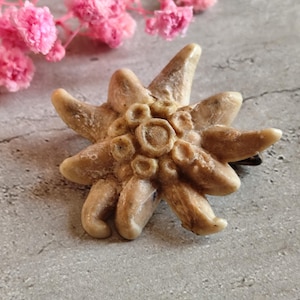 antique flower Edelweiss bakélite brooch