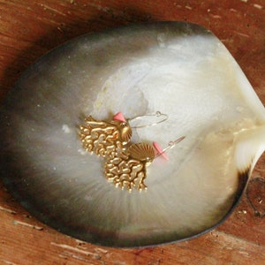 big sea shell mother pearl