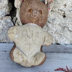 rare vintage teddy bear