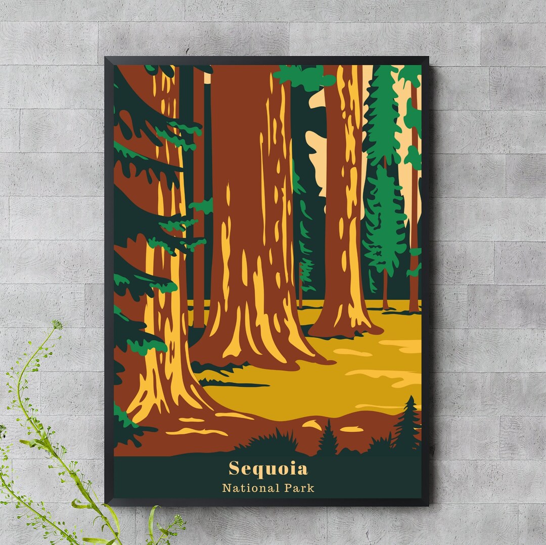 thumbnail interactive-video image 1 of Sequoia National Park Is Celebrating 135 Years This Month – Daily Breeze 1 of 9