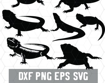 Bearded Dragon Svg Etsy