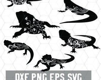 Download Bearded Dragon Svg Etsy