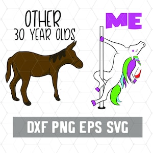 Other 30 Year Olds Me Unicorn - 30. Geburtstag Svg - Geschenk zum 30. Geburtstag - Digital Download - Plotterdatei für Silhouette