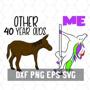 40 Jahre altes Ich Einhorn - 40 Jahre altes Design - 40 Geburtstag Geschenk - 40 Geburtstag Geschenk Frau - Digital Download - Geburtstag Cricut - Cut Datei - Silhouette