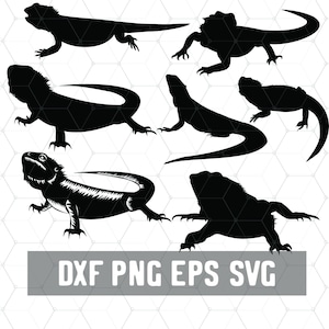 Könnte beinhalten: Fünf schwarze Silhouettenbilder von Bartagamen in verschiedenen Posen. Die Bartagamen sind in verschiedene Richtungen gewandt und haben ihre Schwänze eingerollt.