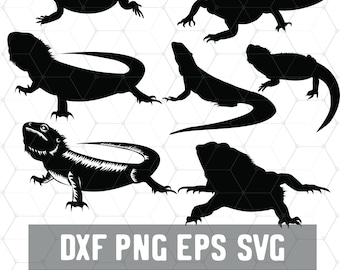 Bearded Dragon SVG - Reptile  Svg - Lizard Lady Dxf - Digital Download - Beardie Dragon PNG - Craft Supplies - Cut File for Silhouette