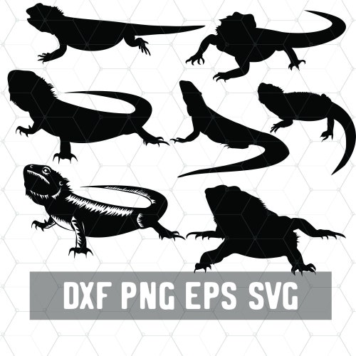 Bearded Dragon SVG - Reptile Svg - Lizard Lady Dxf - Téléchargement numérique - Beardie Dragon PNG - Fournitures d’artisanat - Fichier coupé pour Silhouette