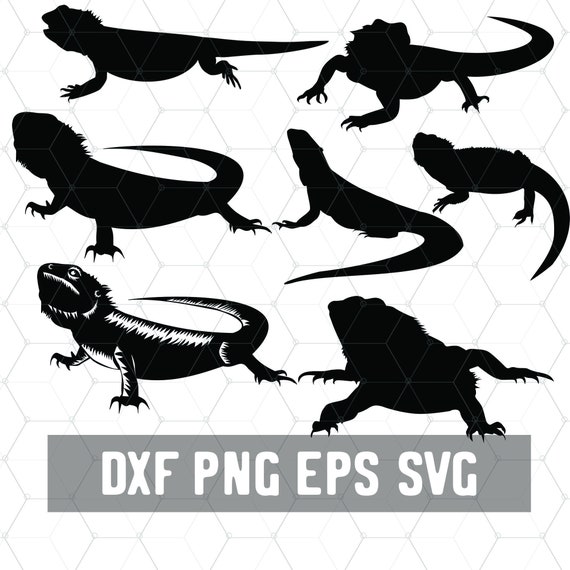 Bearded Dragon Svg Reptile Svg Lizard Lady Dxf Digital Etsy