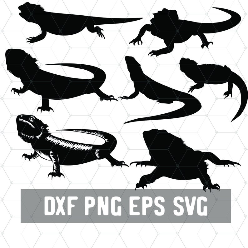 Download Bearded Dragon SVG Reptile Svg Lizard Lady Dxf Digital | Etsy