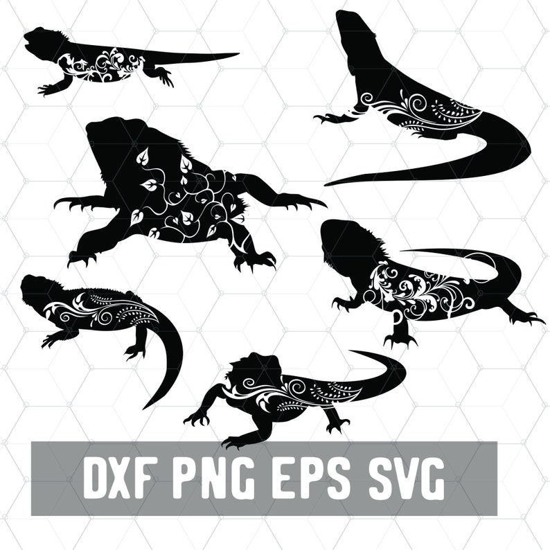 Download Bearded Dragon SVG Reptile Svg Lizard Lady Dxf Digital | Etsy