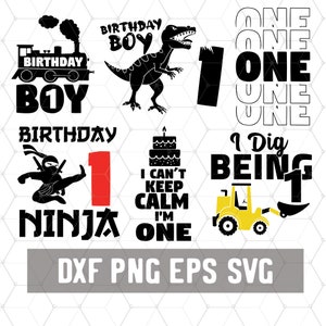 Funny Boys 1 ° compleanno - 1 anni Svg - Compleanno 1 PNG - Download digitale - Birthday Cricut - Dig Being One - Taglia file per silhouette