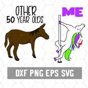 Other 50 Year Olds Me Einhorn - 50. Geburtstag Svg - 50. Geburtstag Geschenk - Digital Download - Geburtstag Cricut - Plotterdatei für Silhouette