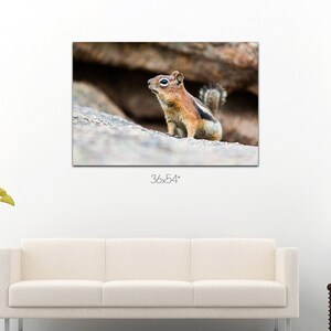Posing chipmunk photo on hand made canvas