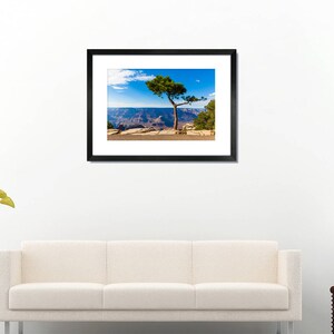 Pine Tree on the edge of Grand Canyon photo print