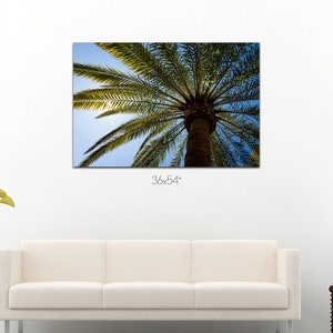 Palm tree photo canvas