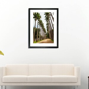Palm avenue high quality photo print, wall art, home decor, tropical view, exotic nature, 5x7, 8x12, 12x18, Free shipping