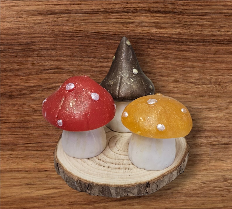 Woodland Mushroom Soap Set image 1