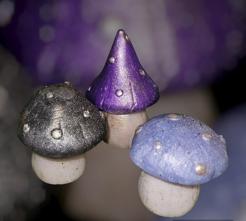 Midnight Mushrooms soaps set image 1
