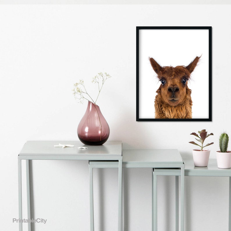 different sizes brown farm animal prints nursery decor Llama printable poster photography kids room home decor wall art gift digital