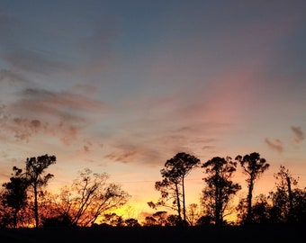 Sunset Over the Palms