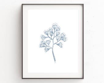 May include: A framed wall art print featuring a blue line drawing of a botanical sprig with multiple fan-shaped leaves. The artwork is centered on a white background and enclosed within a thin, dark brown rectangular frame.