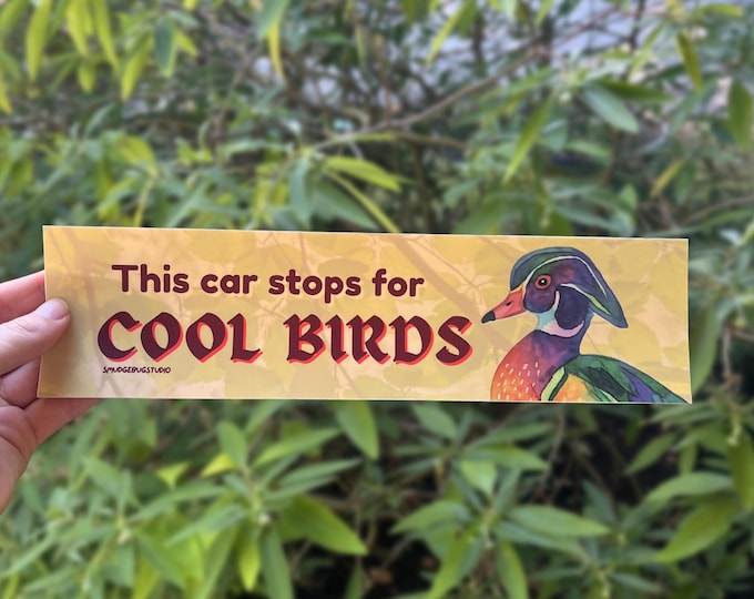 This Car Stops for COOL BIRDS | Funny Bumper Sticker for Bird Lovers