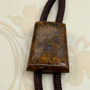 Polished Agate Southwestern Bolo Shoestring Tie with Brown Cord