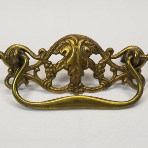 May include: A brass drawer pull with a decorative design of leaves and grapes. The pull has a loop handle.