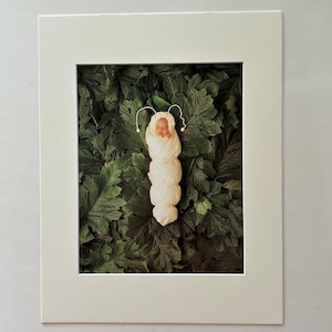 Anne Geddes Baby Caterpillar Down In The Garden Lithograph 1998 Print 11 x 14