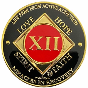 Simply Minimal NA 12 Year Gold Color Plated-Medallion, Recovery Token, NA Token, Narcotics Anonymous Coin