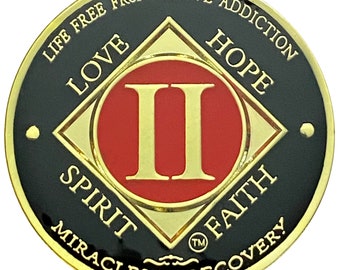 NA 2 Year Gold Color Plated Coin, Narcotics Anonymous Medallion