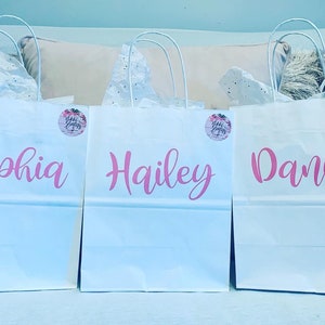 May include: Three white paper gift bags with pink handles and pink lettering. The bags are labeled "Sophia", "Hailey", and "Danica".