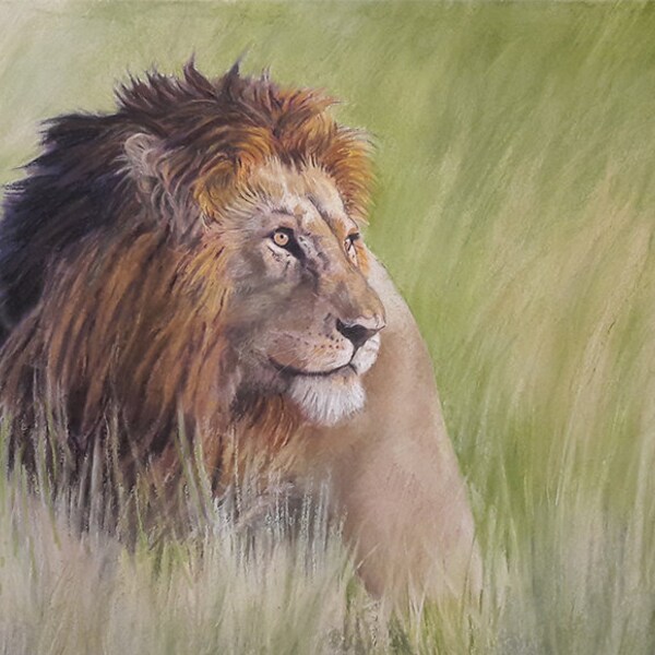 PEINTURE ANIMALIÈRE, TABLEAU,  Dessin lion, Animaux sauvages d'Afrique, mammifères, Nature, Pastel original, Art, Artiste peintre, Félin