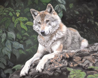 TIERGEMÄLDE, Gemälde, Grauer Wolf, Zeichnung, Original wildes Tierpastell, Kunst, Originalgemälde, Rotfuchs zwischen Schnee und Wald.